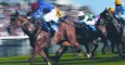 Your chance to win your wedding with Warwick Racecourse. Find out more...